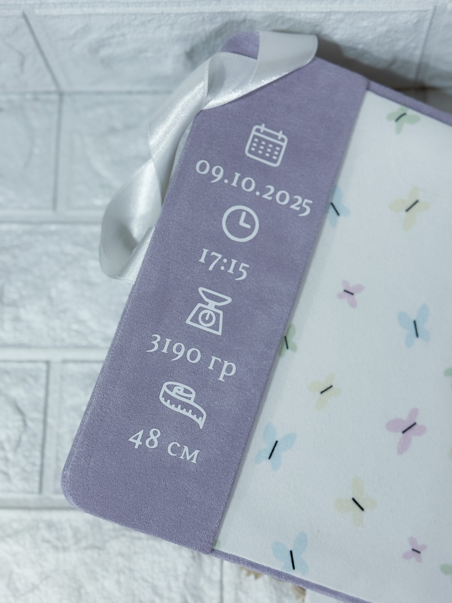 lilac mecho dnevnik2